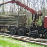 Châtaignier en Grume – Camion de 50 Stères